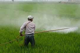 Dangerous Pesticides in Tea